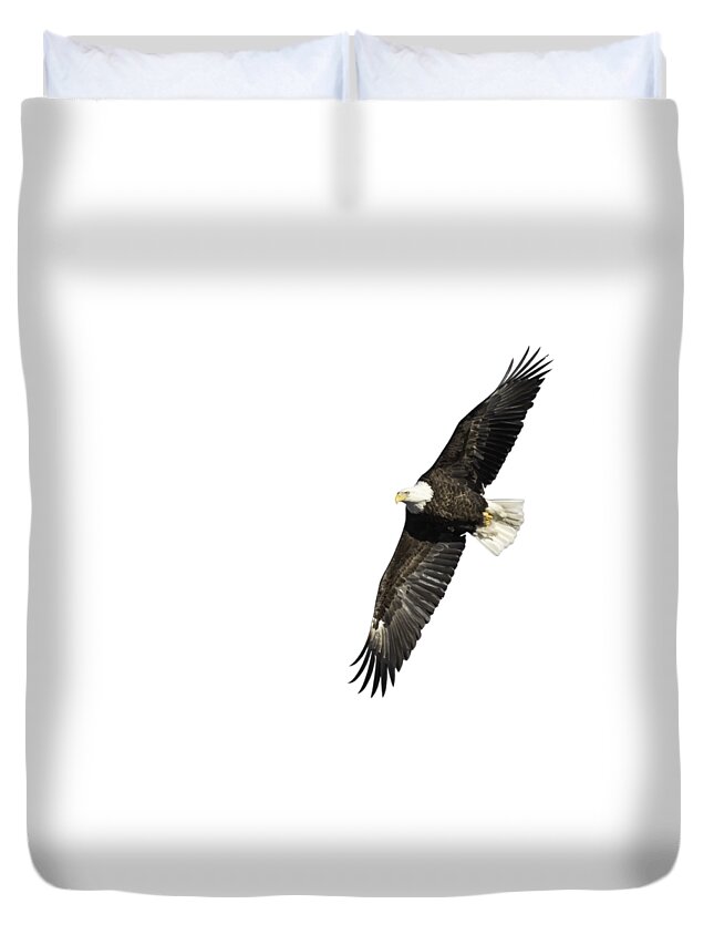 American Bald Eagle Duvet Cover featuring the photograph Isolated American Bald Eagle 2016-7 by Thomas Young