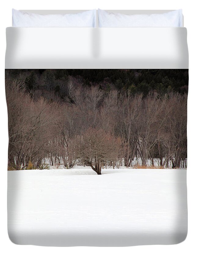 Nature Duvet Cover featuring the photograph Isolated by Becca Wilcox