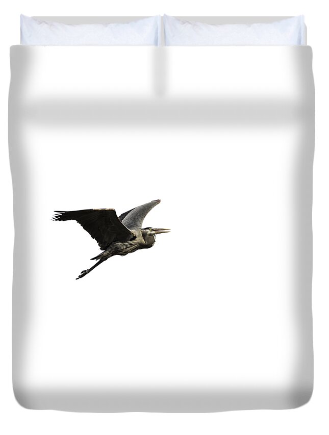 Great Blue Heron Duvet Cover featuring the photograph Isolated Great Blue Heron 2015-3 by Thomas Young