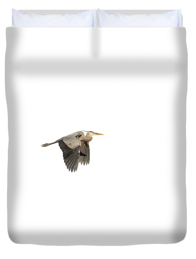 Great Blue Heron Duvet Cover featuring the photograph Isolated Great Blue Heron 2015-5 by Thomas Young