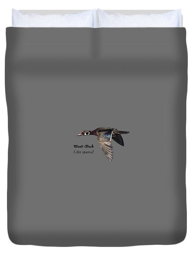 Wood Duck Duvet Cover featuring the photograph Isolated Wood Duck 2017-1 by Thomas Young