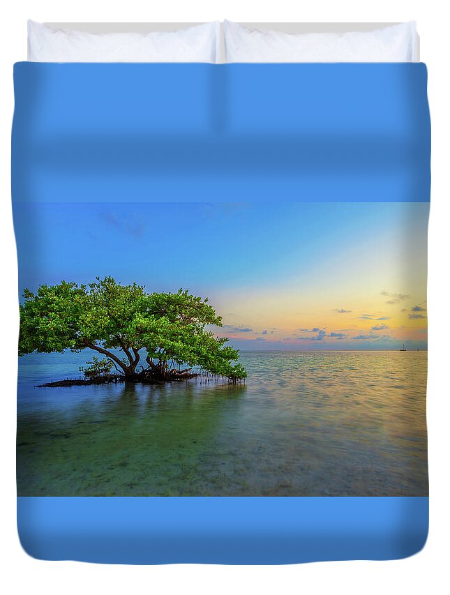 Mangrove Duvet Cover featuring the photograph Isolation by Chad Dutson
