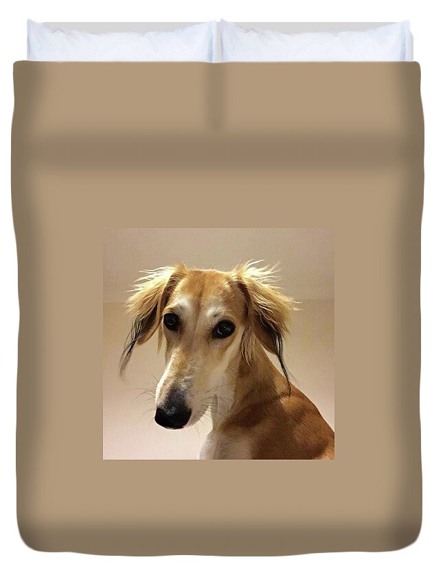 Dogsofinstagram Duvet Cover featuring the photograph It Looks Like It Will Be A Bad Hair Day by John Edwards