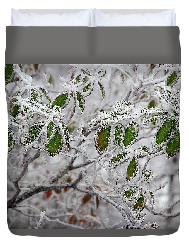 Frost Duvet Cover featuring the photograph It's Cold Outside by Mike Eingle