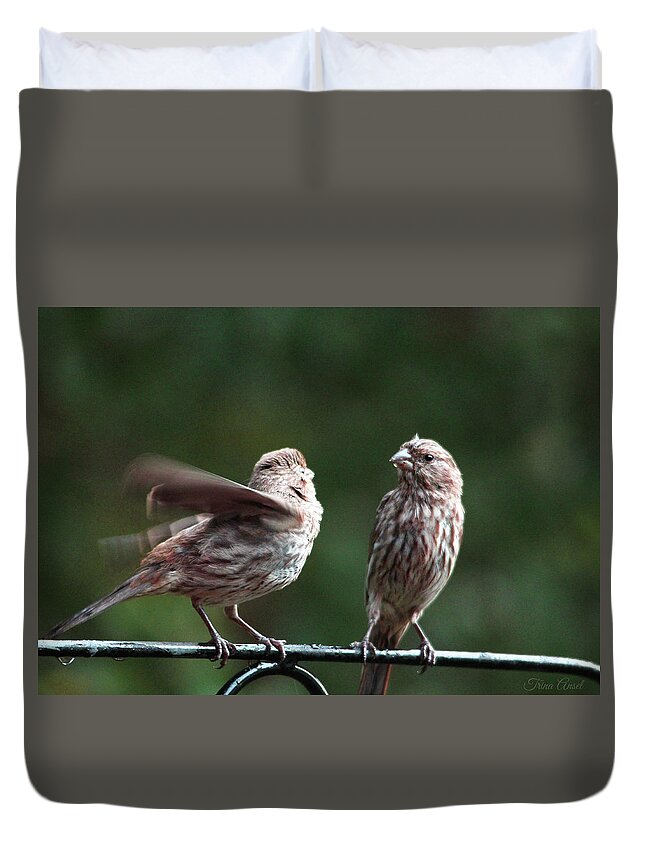 Birds Duvet Cover featuring the photograph It's My Turn by Trina Ansel
