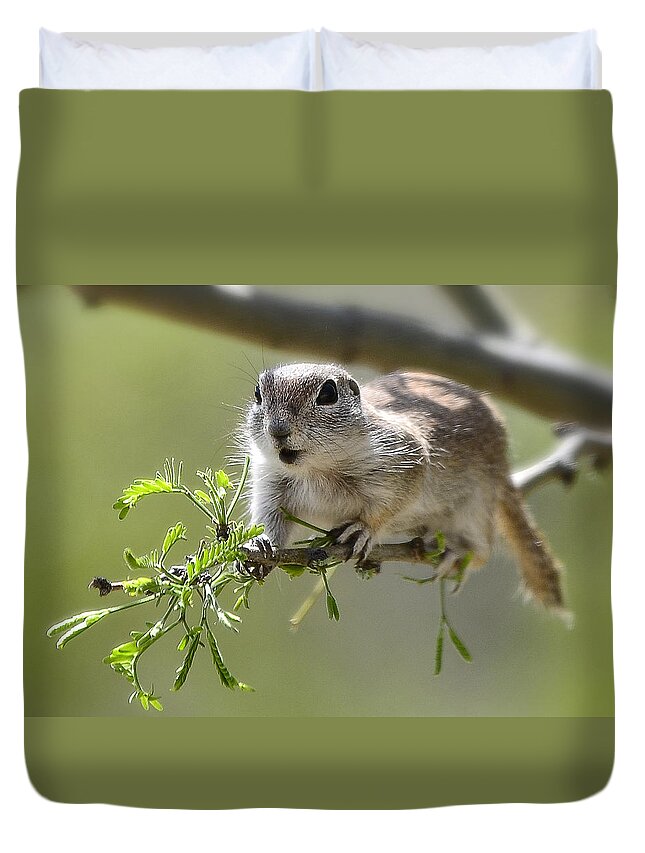 Ground Squirrel Duvet Cover featuring the photograph I've Been Caught by Saija Lehtonen
