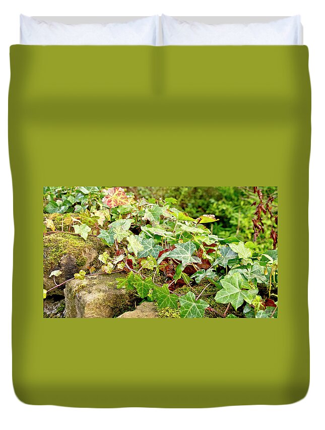 Ivy Duvet Cover featuring the photograph Ivy on Stones by Elena Perelman