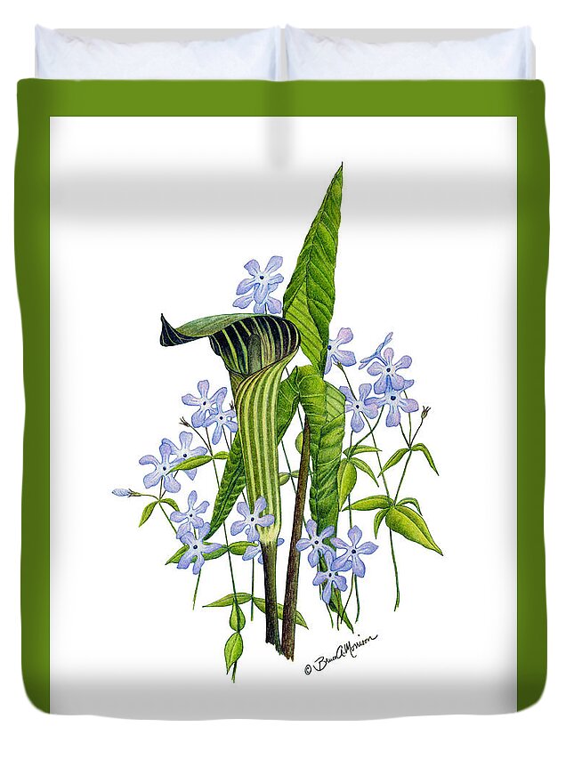 Wild Flowers Duvet Cover featuring the drawing Jack-in-the-Pulpit with Wild Sweet Williams by Bruce Morrison