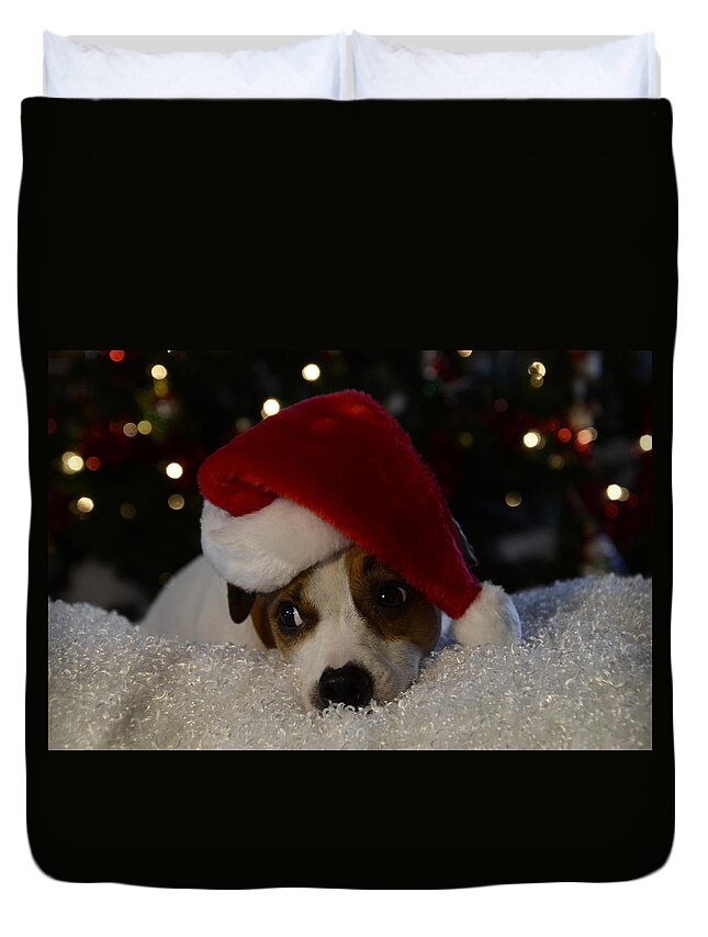 Jack Russel Christmas Duvet Cover featuring the photograph Jack Russel Christmas by Ann Bridges