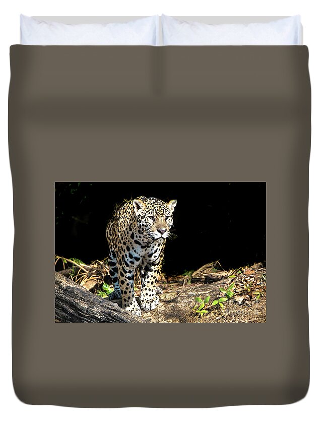 Jaguar Duvet Cover featuring the photograph Jaguar Stare by Pravine Chester