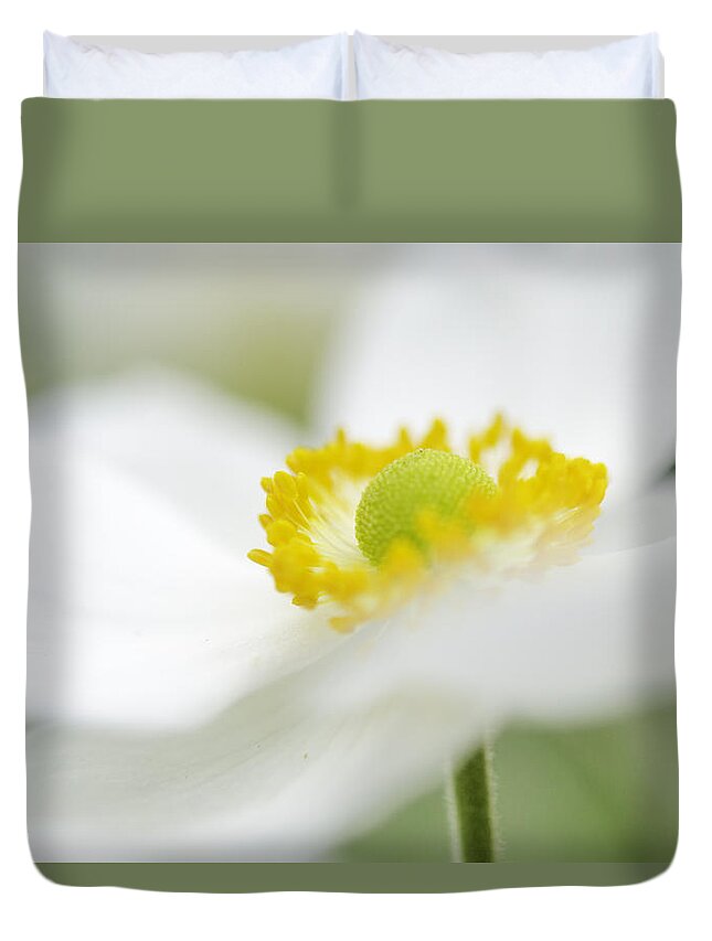 Anemone Duvet Cover featuring the photograph Japanese Anemone by Mary Angelini
