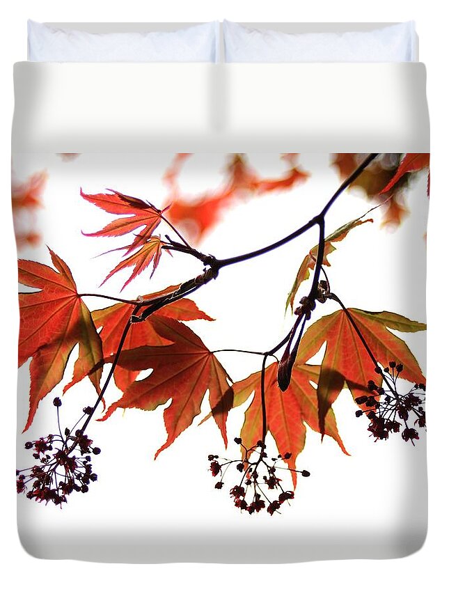 Nature Duvet Cover featuring the photograph Japanese Maple 2011-2 by Robert Morin