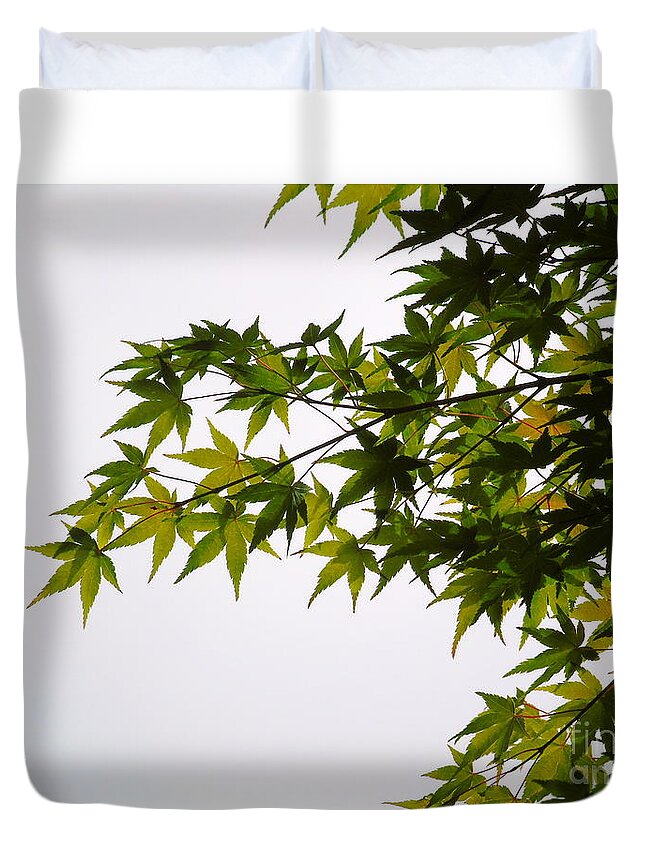 Tree Duvet Cover featuring the photograph Japanese Maple by Susan Lafleur