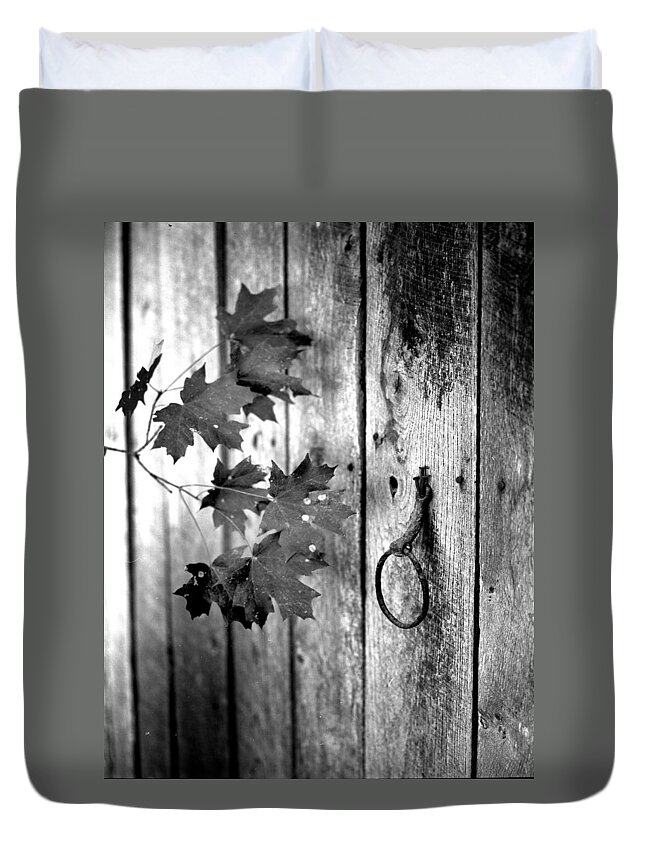  Duvet Cover featuring the photograph Japton door by Curtis J Neeley Jr