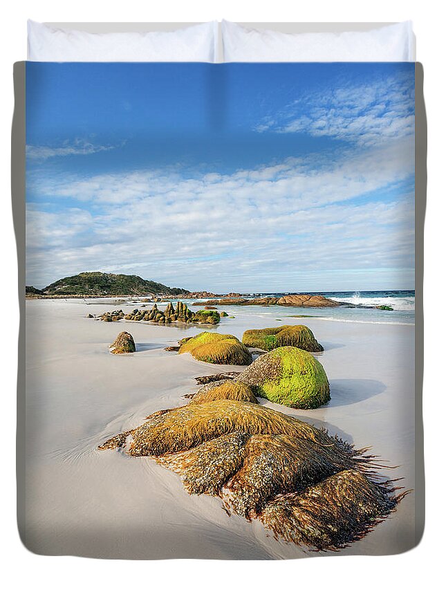 Beach Duvet Cover featuring the photograph Jeaneret Beach - Bay of Fires by Anthony Davey