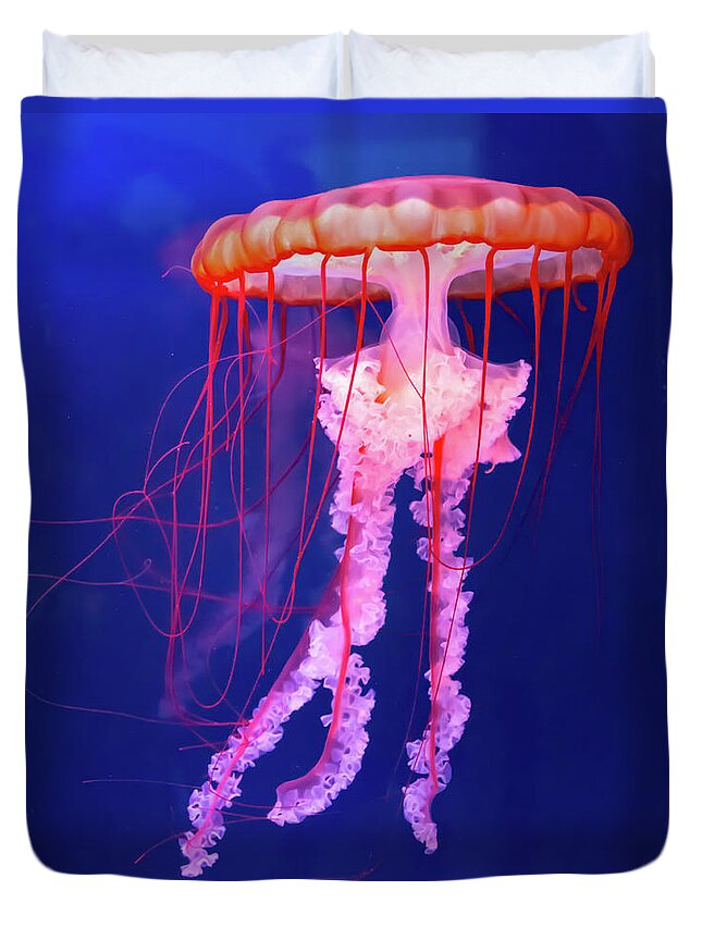 Chicago Duvet Cover featuring the photograph Jellyfish by David Hart