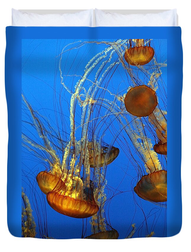 Animal Duvet Cover featuring the photograph Jellyfish Family by Marilyn Hunt