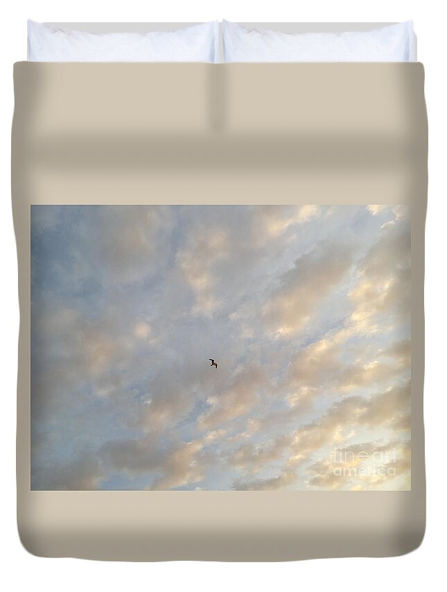 St. Augustine Duvet Cover featuring the photograph Jonathan Livingston Seagull by LeeAnn Kendall