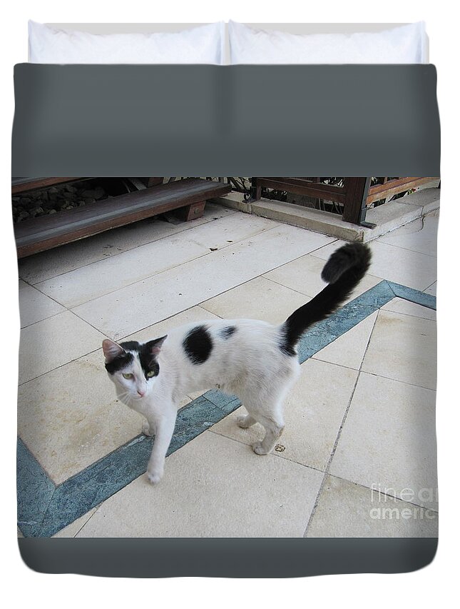 Cat Duvet Cover featuring the photograph Jordan Marriott Cat #1 by Donna L Munro
