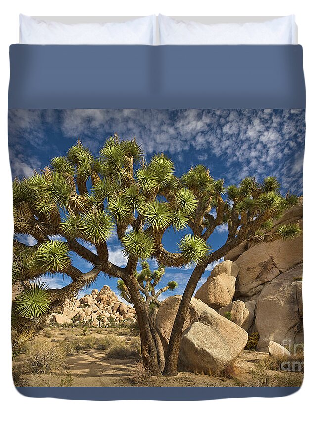 00559247 Duvet Cover featuring the photograph Joshua Tree and Blue Sky by Yva Momatiuk John Eastcott