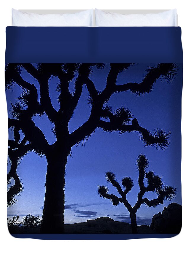 Scenic Duvet Cover featuring the photograph Joshua Tree NP at Sunset by Doug Davidson