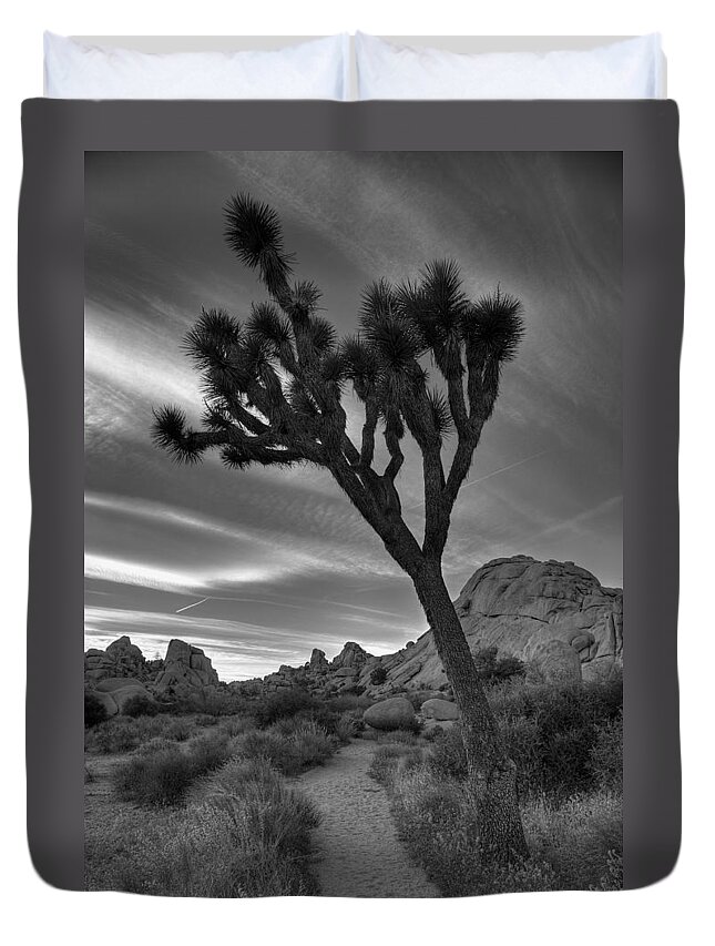California Duvet Cover featuring the photograph Joshua Tree Path by Peter Tellone
