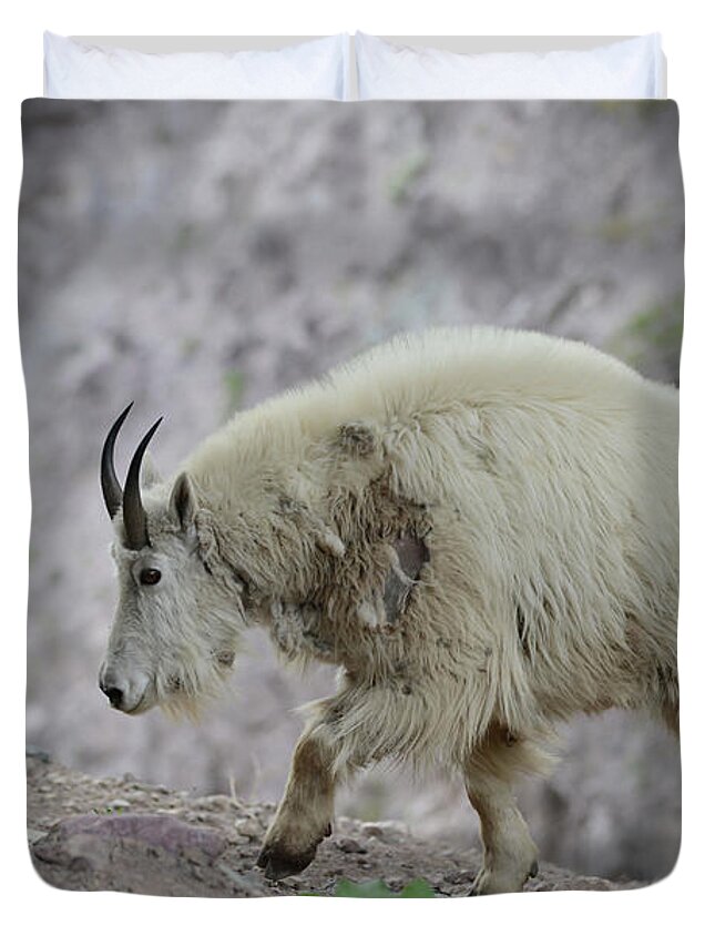 Journey Duvet Cover featuring the photograph Journey On by Whispering Peaks Photography