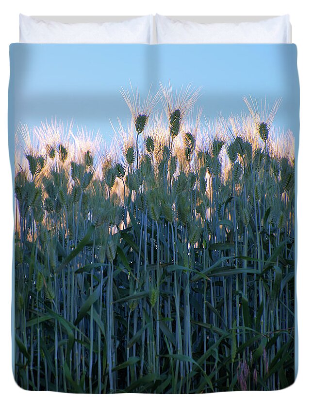 Outdoors Duvet Cover featuring the photograph July Crops II by Doug Davidson
