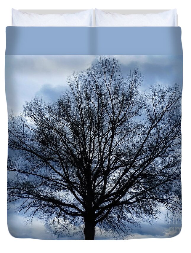 Tree Duvet Cover featuring the photograph Just a Gray Blue Day by Sue Melvin