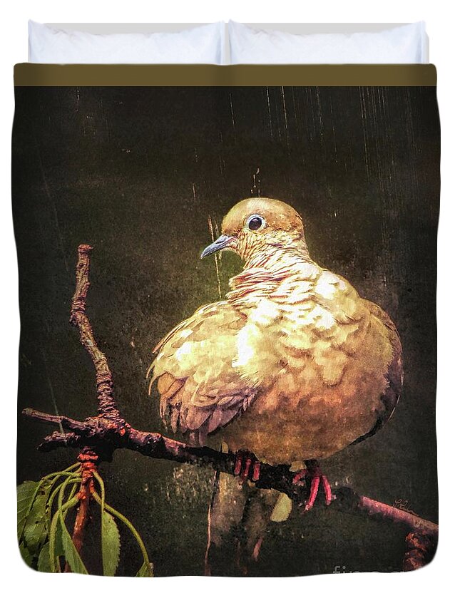 Mourning Dove Duvet Cover featuring the photograph Just A Little Plump by Tina LeCour