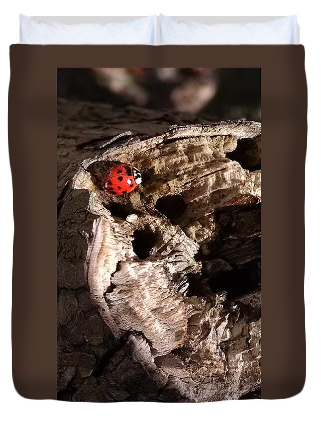 Ladybug Duvet Cover featuring the photograph Just A Place To Rest by Allen Nice-Webb