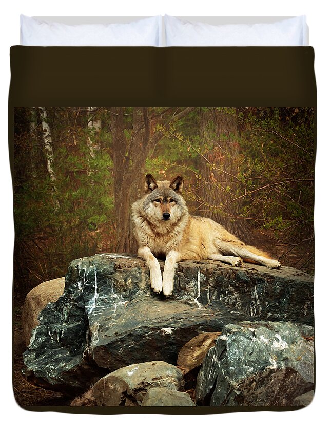 Animal Duvet Cover featuring the photograph Just Chilling by Susan Rissi Tregoning