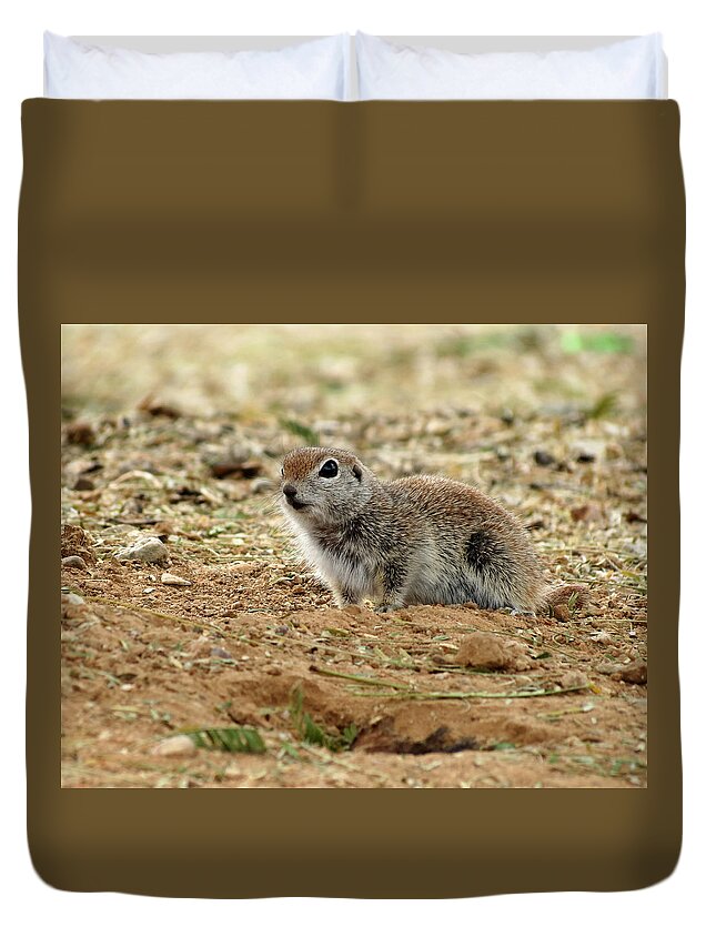 Animal Duvet Cover featuring the photograph Just Hanging Out by Laurel Powell