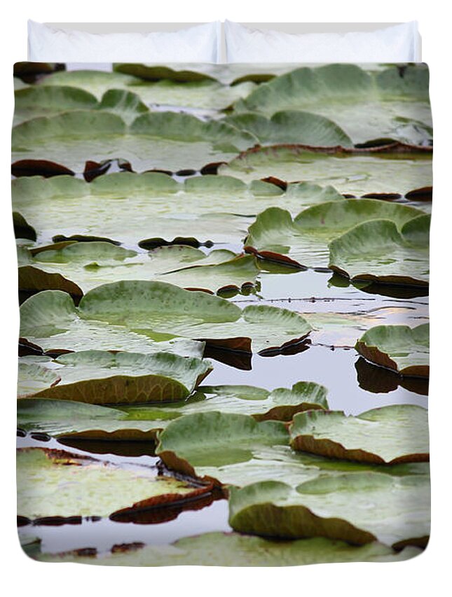 Nature Duvet Cover featuring the photograph Just Lily Pads by Carol Groenen