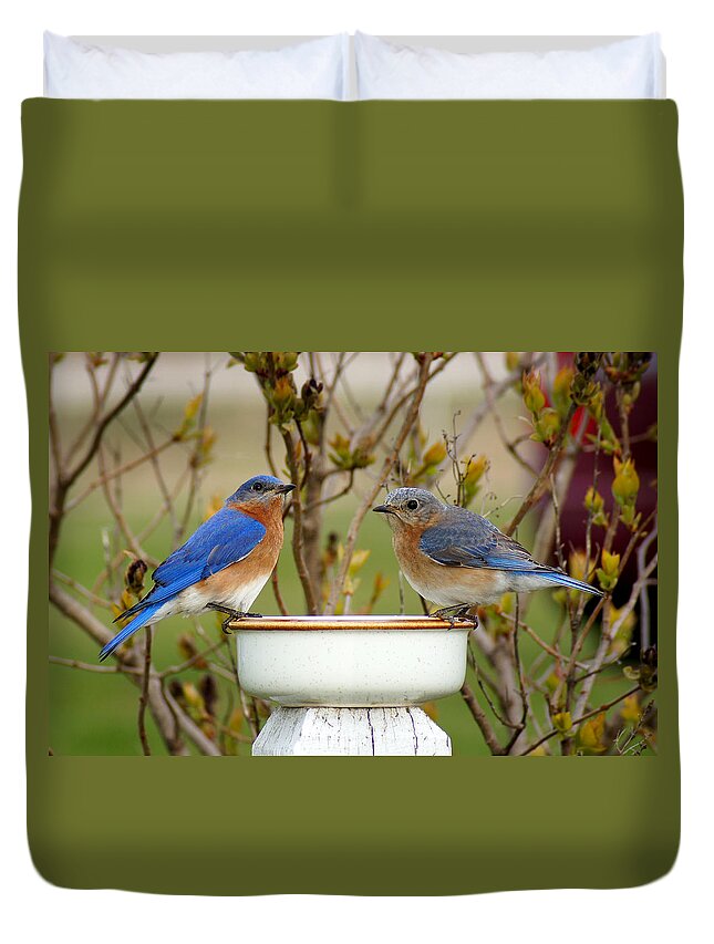 Eastern Bluebirds Duvet Cover featuring the photograph Just the Two of Us by Bill Pevlor