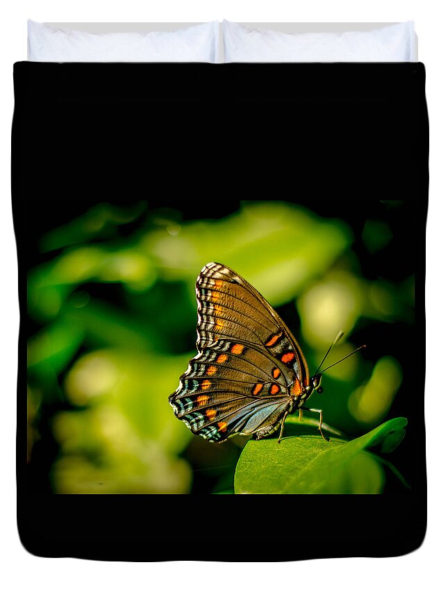 Butterfly Black Swallowtail Garden Insect Beauty Bruce Pritchett Photography Duvet Cover featuring the photograph Being Still by Bruce Pritchett