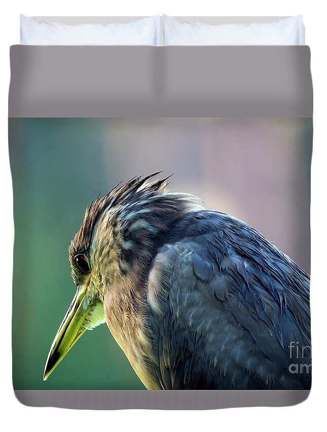 Nature Duvet Cover featuring the photograph Juvenile Black Crowned Night Heron Lost in Deep Thoughts by DB Hayes