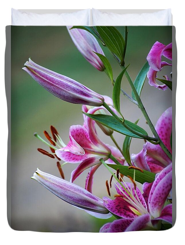 Lilly Duvet Cover featuring the photograph K and D Lilly 3 by Merle Grenz
