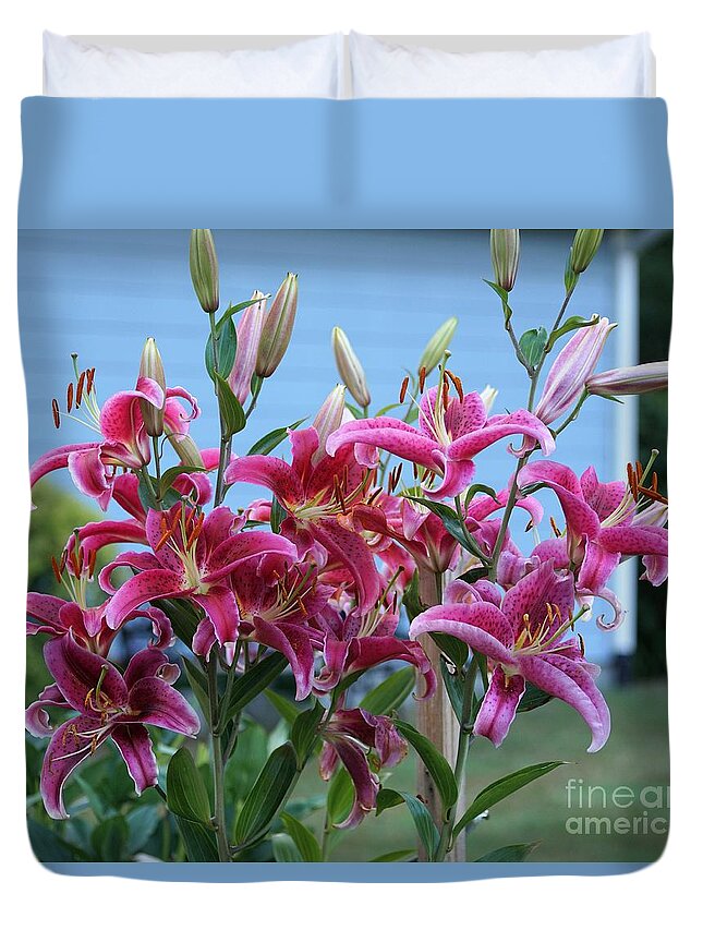 Lillies Duvet Cover featuring the photograph K and D Lilly 5 by Merle Grenz