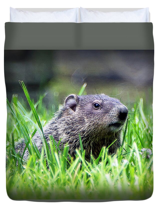 2d Duvet Cover featuring the photograph Keep Low by Brian Wallace