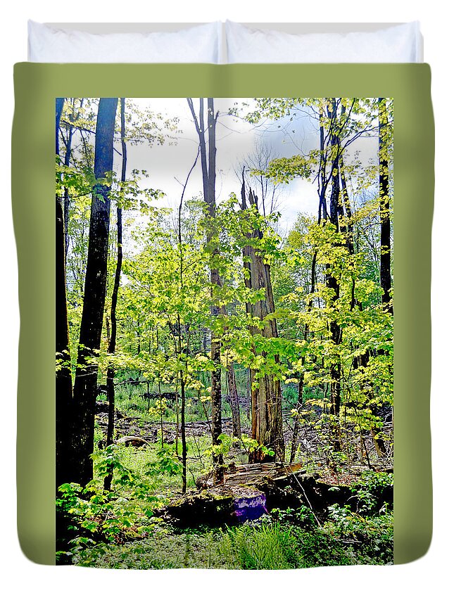 Woods Duvet Cover featuring the photograph Keep Walking by Donna Petersen