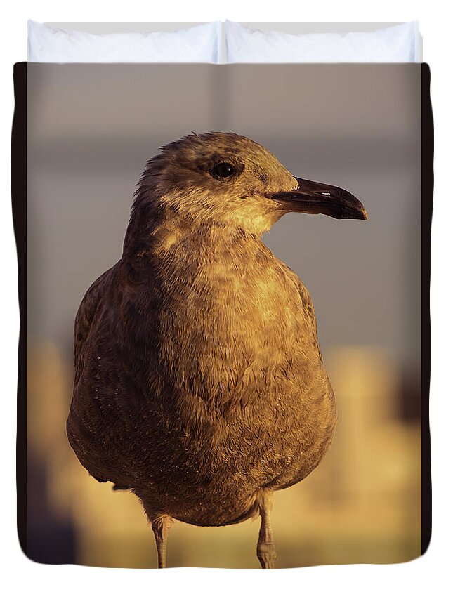 Animal Duvet Cover featuring the photograph Keeping An Eye On Me by Joe Geraci