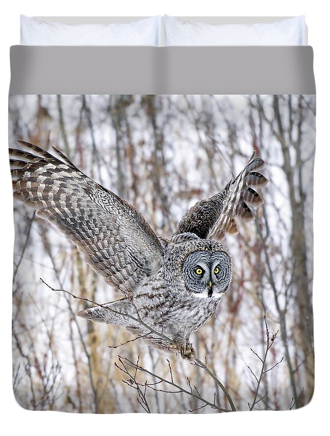 Nature Duvet Cover featuring the photograph Keeping Balance by Crystal Massop