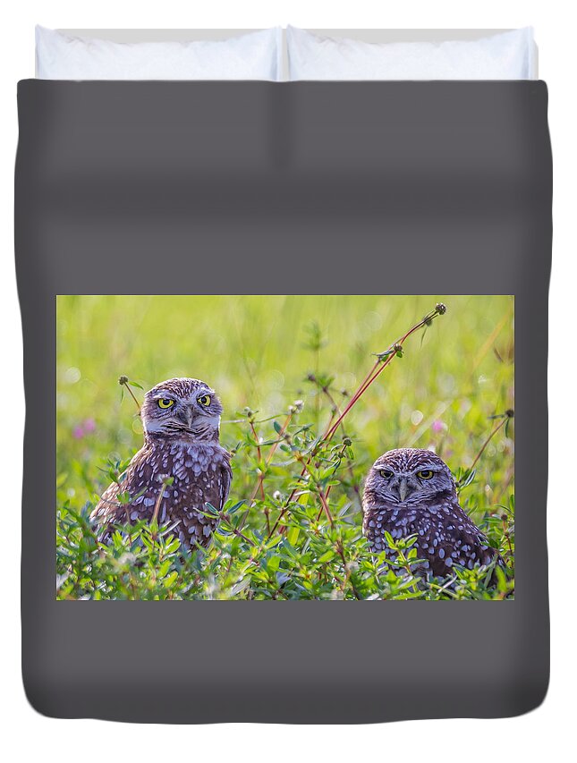 Florida Duvet Cover featuring the photograph Keeping Watch by Paul Schultz
