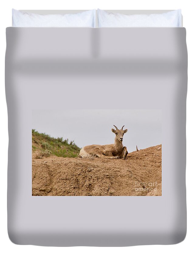 Photography Duvet Cover featuring the photograph Keeping Watch by Sean Griffin