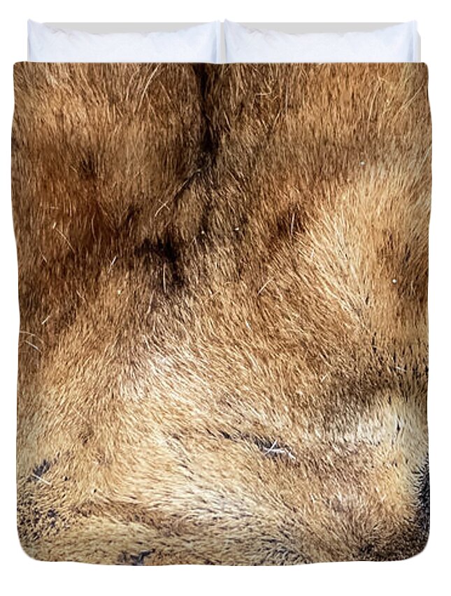 Lion Duvet Cover featuring the photograph Killer Eyes by Sam Rino