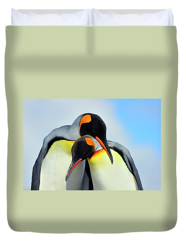 King Penguin Duvet Cover featuring the photograph King Penguin by Tony Beck