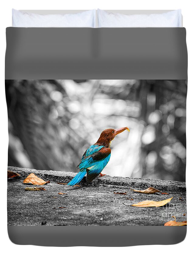 Kingfisher Carrying A Prey Duvet Cover featuring the photograph Kingfisher by Venura Herath