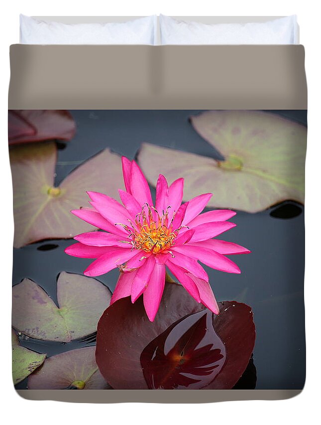  Duvet Cover featuring the photograph Kinky Stamens by Ron Monsour