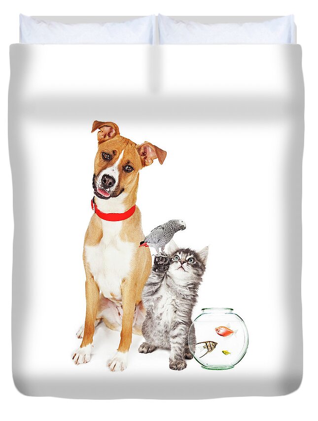 Adorable Duvet Cover featuring the photograph Kitten Dog Bird and Fish Together by Good Focused